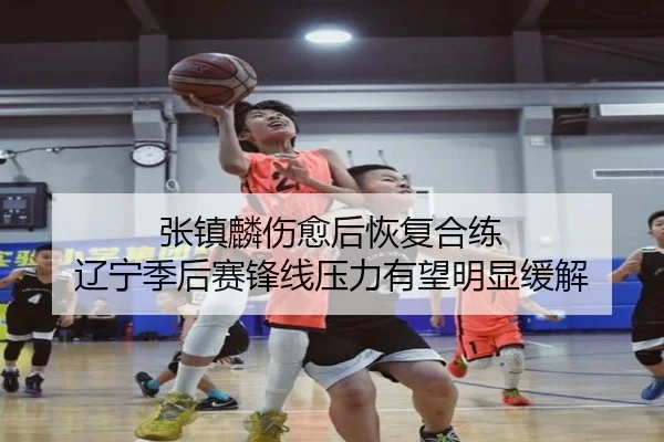 张镇麟伤愈后恢复合练 辽宁季后赛锋线压力有望明显缓解